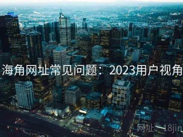 海角网址常见问题：2023用户视角