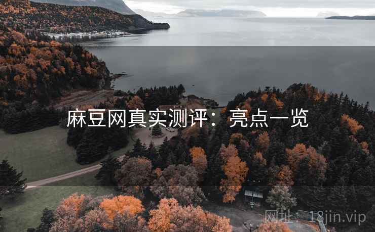 麻豆网真实测评：亮点一览