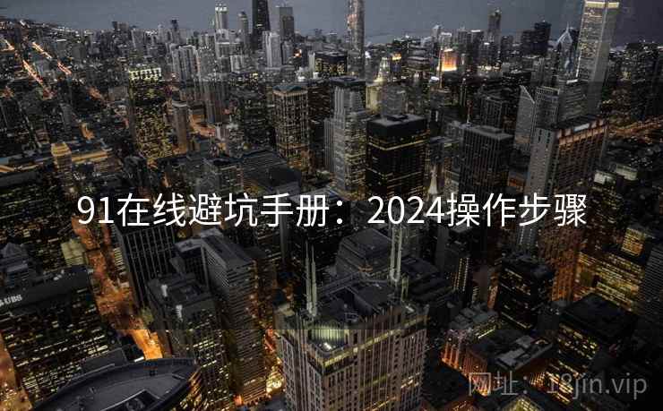 91在线避坑手册：2024操作步骤