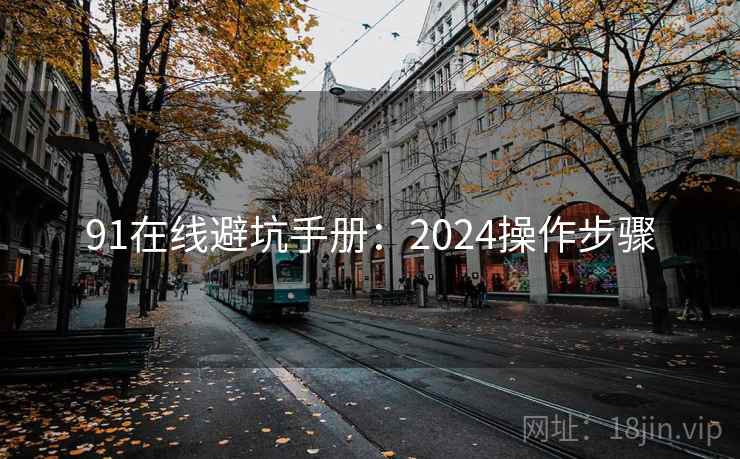 91在线避坑手册：2024操作步骤