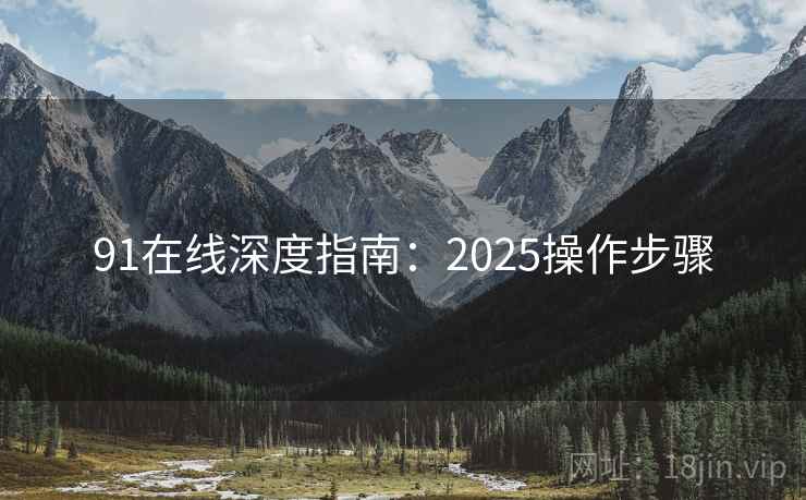 91在线深度指南：2025操作步骤